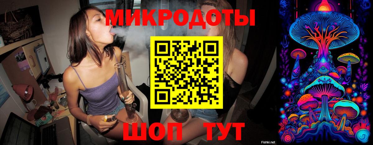 Псилоцибиновые грибы мицелий Копейск