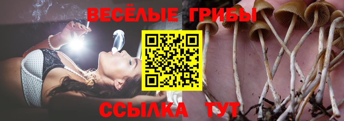 Копейск  Псилоцибиновые грибы мухоморы  Вход с VPN 